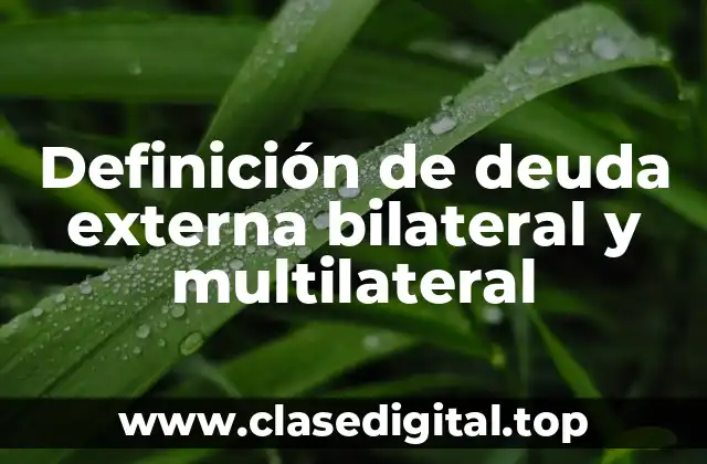 Definición de deuda externa bilateral y multilateral