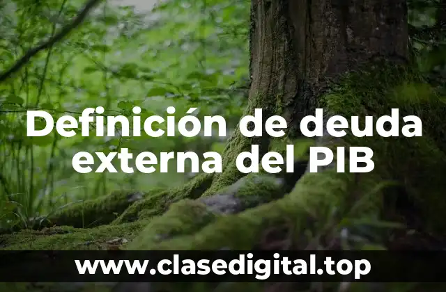 Definición de deuda externa del PIB