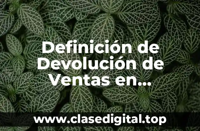 Definición de Devolución de Ventas en Contabilidad