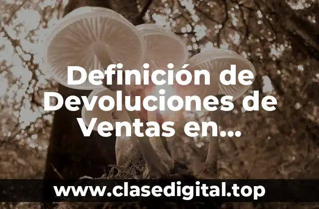 Definición de Devoluciones de Ventas en Contabilidad