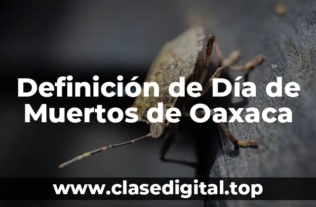 Definición de Día de Muertos de Oaxaca