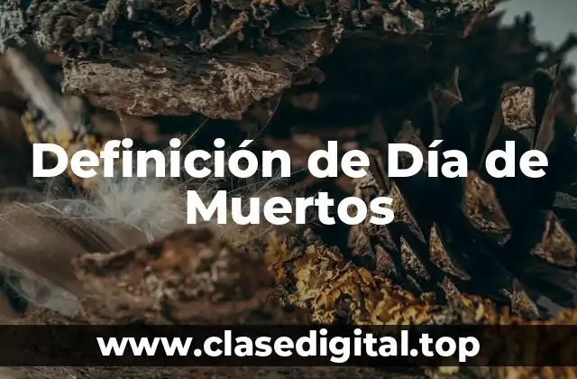 ❇️ Definición técnica de Día de Muertos