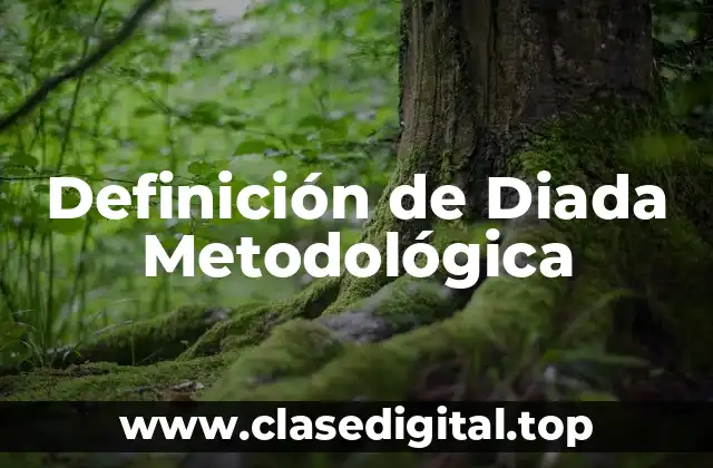 Definición de Diada Metodológica