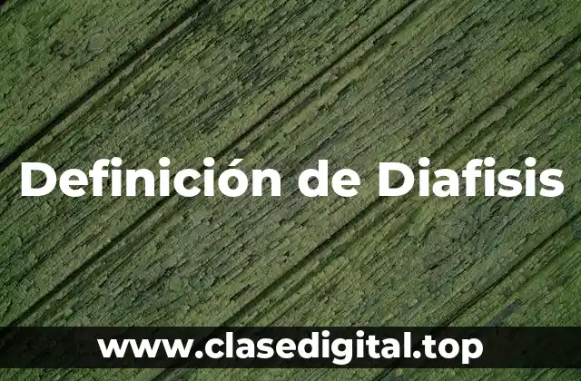 Definición de Diafisis