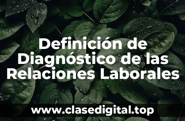 Definición de Diagnóstico de las Relaciones Laborales
