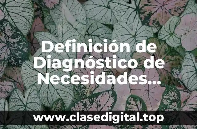 Definición de Diagnóstico de Necesidades Educativas