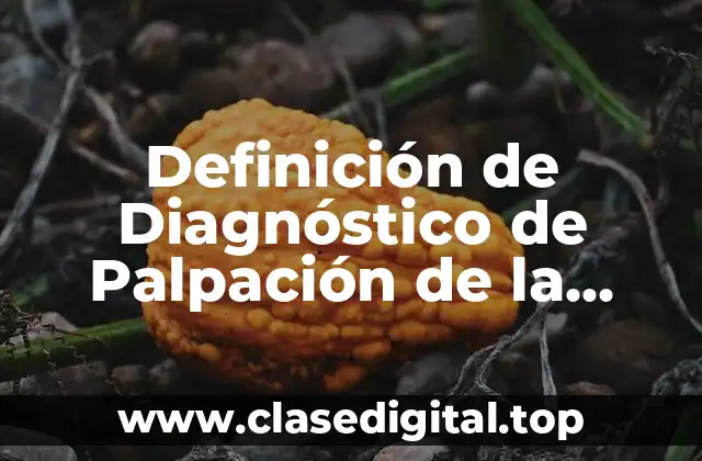 Definición de Diagnóstico de Palpación de la Medicina Tradicional China