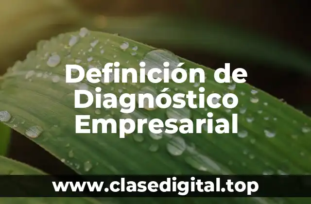 Definición de Diagnóstico Empresarial