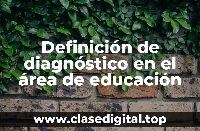 Definición de diagnóstico en el área de educación