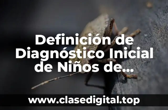 Definición de Diagnóstico Inicial de Niños de Preescolar, ejemplo