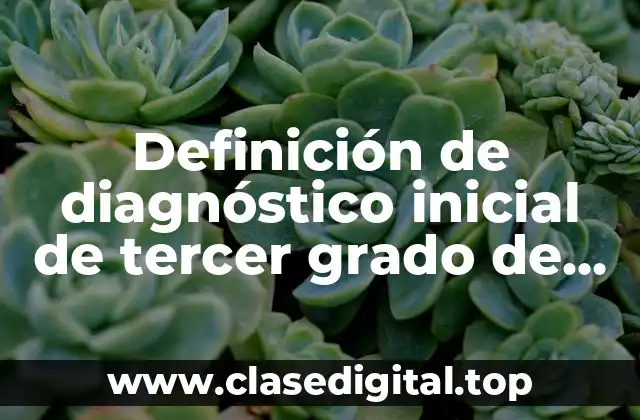 Definición de diagnóstico inicial de tercer grado de primaria