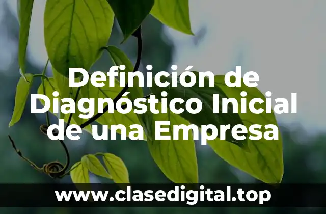 Definición de Diagnóstico Inicial de una Empresa