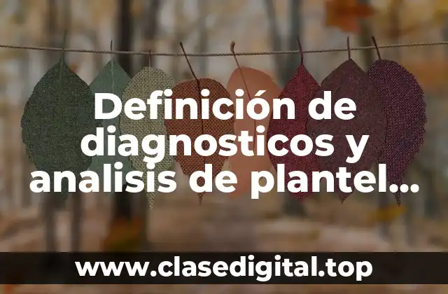 Definición de diagnosticos y analisis de plantel educativos
