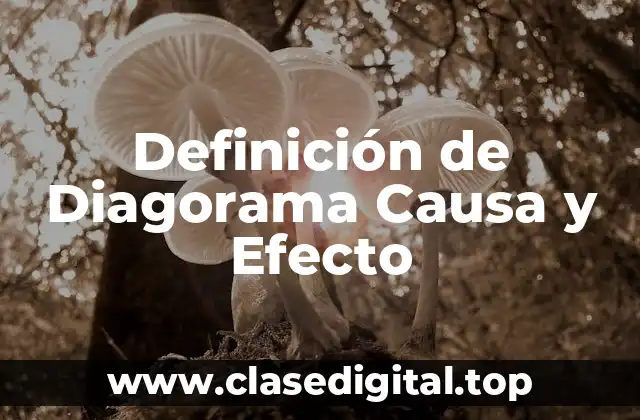 Definición de Diagorama Causa y Efecto
