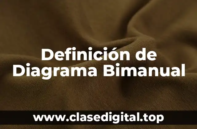 Definición de Diagrama Bimanual
