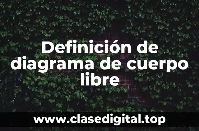 Definición técnica de diagrama de cuerpo libre