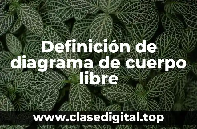 Definición de diagrama de cuerpo libre