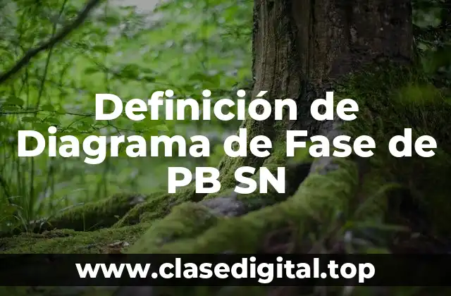 Definición de Diagrama de Fase de PB SN