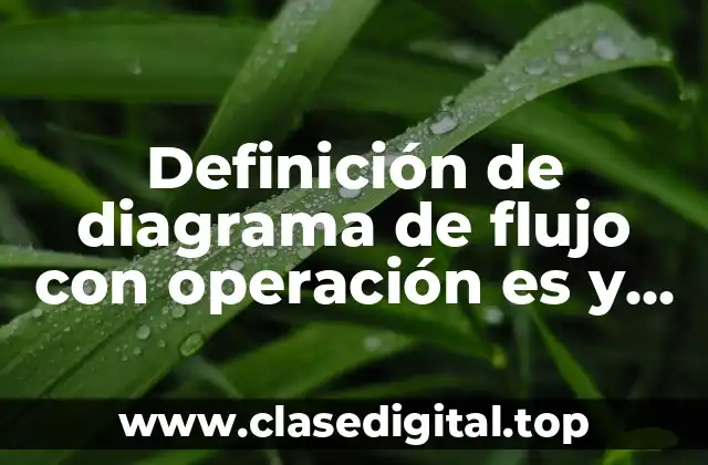 Ejemplos de diagrama de flujo con operación es y lógica