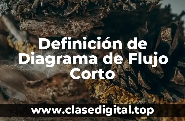 Definición de Diagrama de Flujo Corto