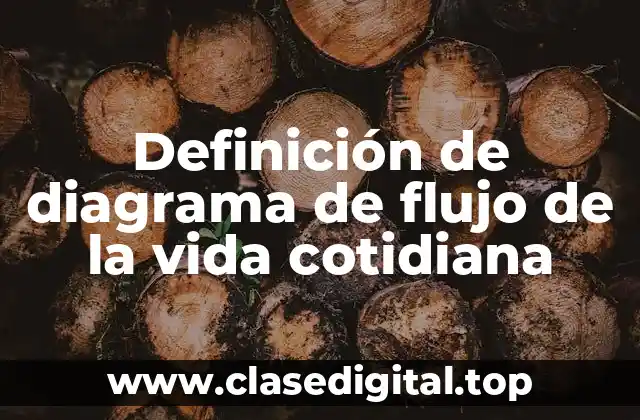 Definición de diagrama de flujo de la vida cotidiana