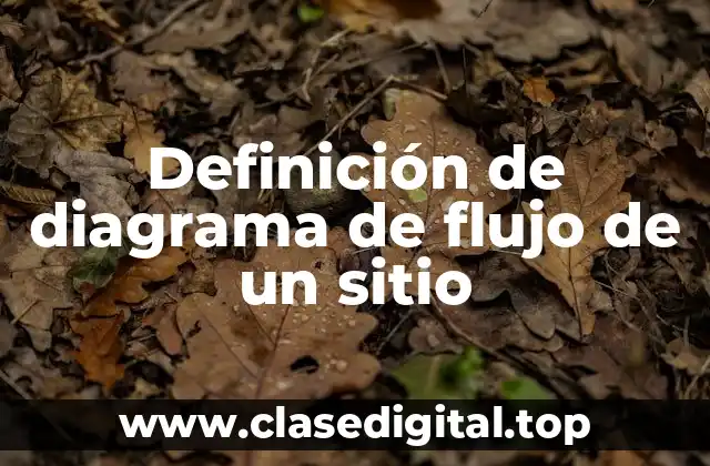 Definición de diagrama de flujo de un sitio