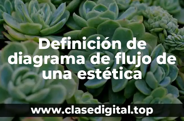 Definición de diagrama de flujo de una estética
