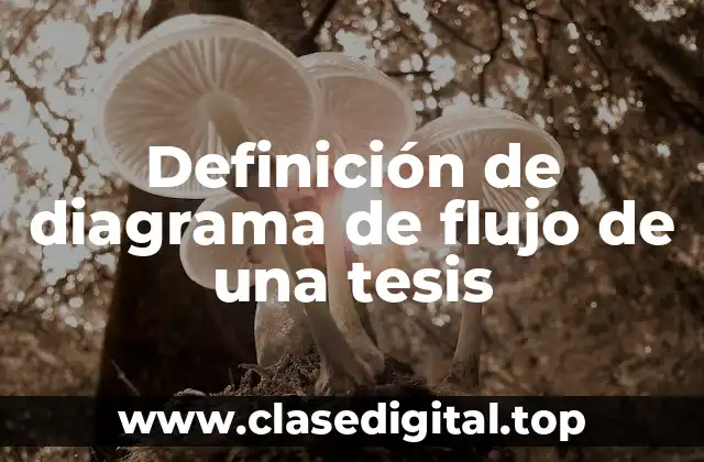 Definición de diagrama de flujo de una tesis