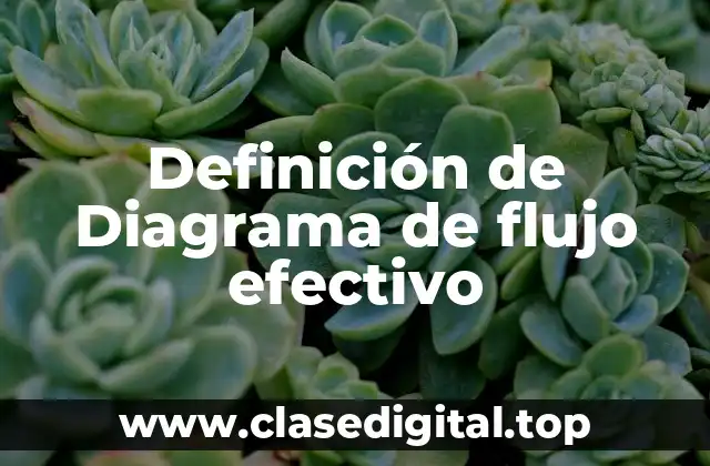Definición de Diagrama de flujo efectivo