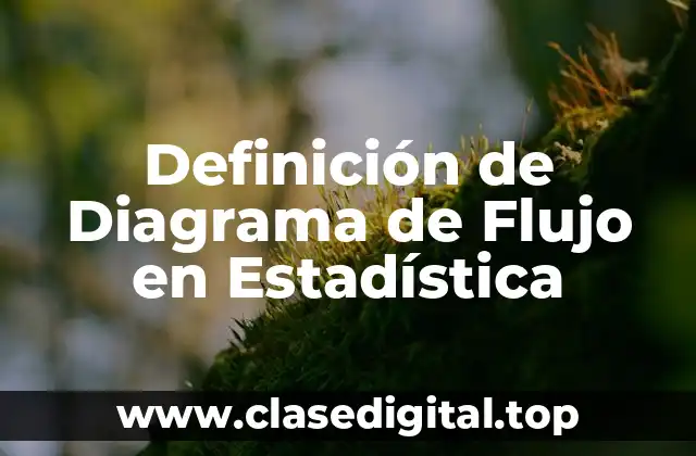 Definición de Diagrama de Flujo en Estadística