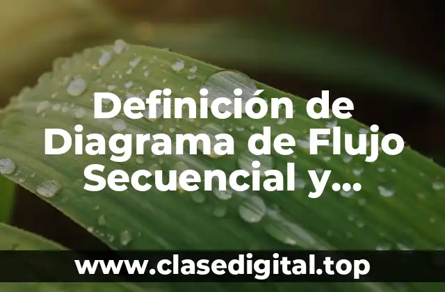 Definición de Diagrama de Flujo Secuencial y Representación