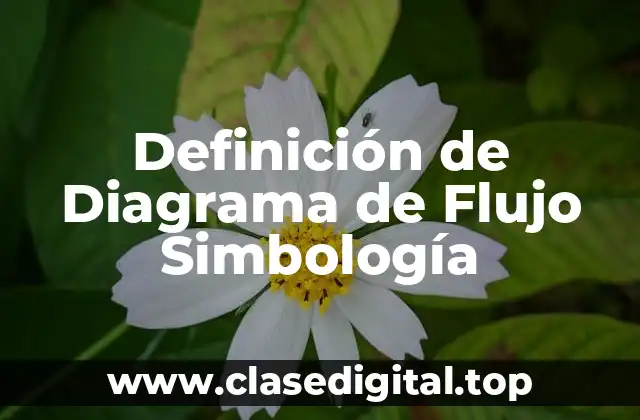 Definición de Diagrama de Flujo Simbología