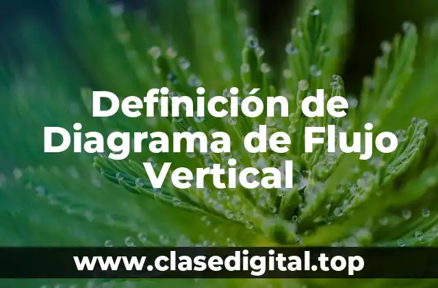 Definición de Diagrama de Flujo Vertical
