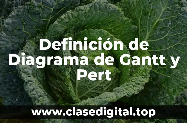 Definición de Diagrama de Gantt y Pert