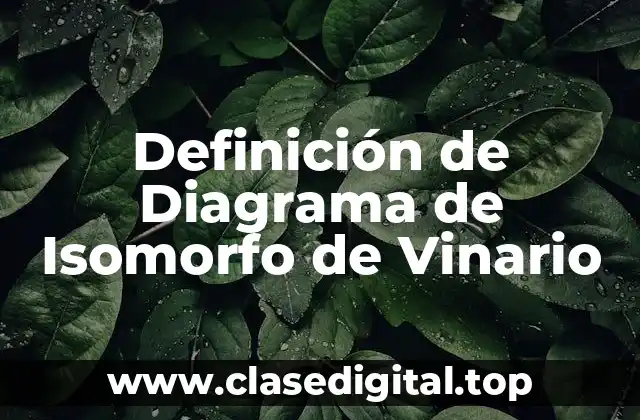 Definición de Diagrama de Isomorfo de Vinario