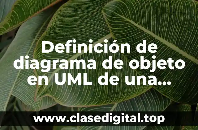 Definición de diagrama de objeto en UML de una tienda