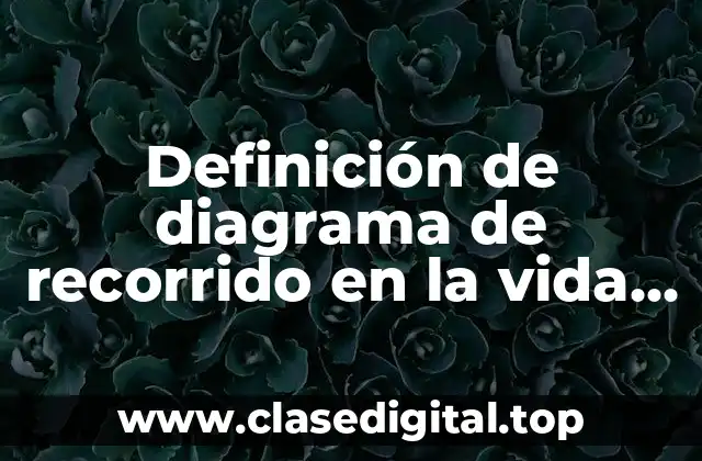 Definición de diagrama de recorrido en la vida diaria