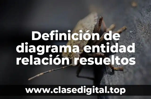 Definición de diagrama entidad relación resueltos