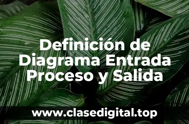 Definición de Diagrama Entrada Proceso y Salida