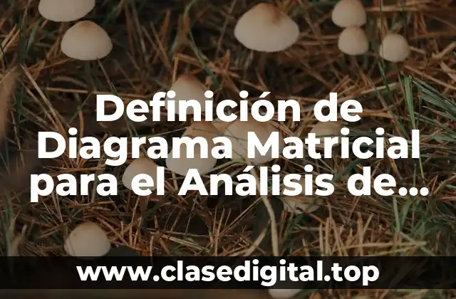 Definición de Diagrama Matricial para el Análisis de Datos