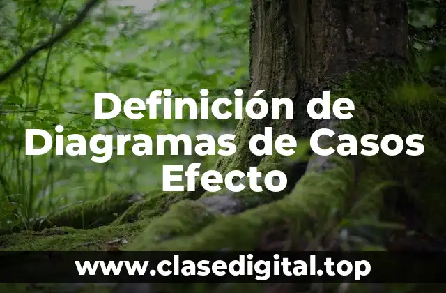 Definición de Diagramas de Casos Efecto