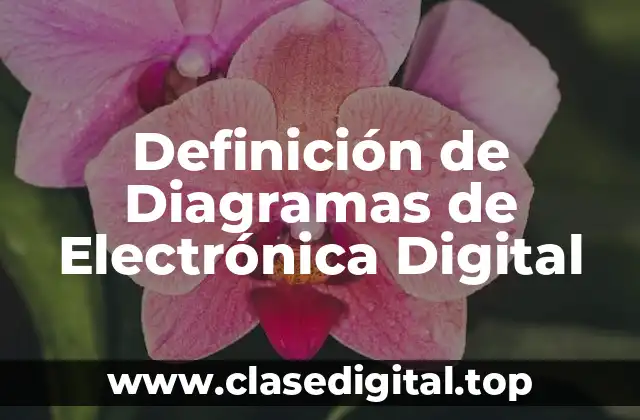 Definición de Diagramas de Electrónica Digital
