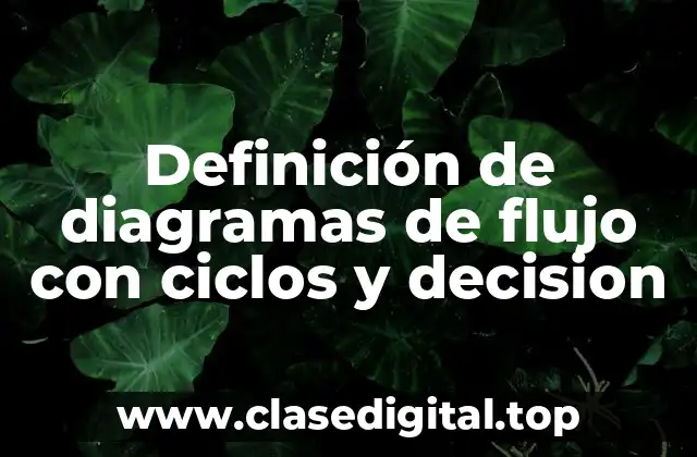 Definición de diagramas de flujo con ciclos y decision