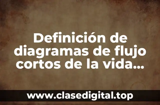 Definición de diagramas de flujo cortos de la vida cotidiana