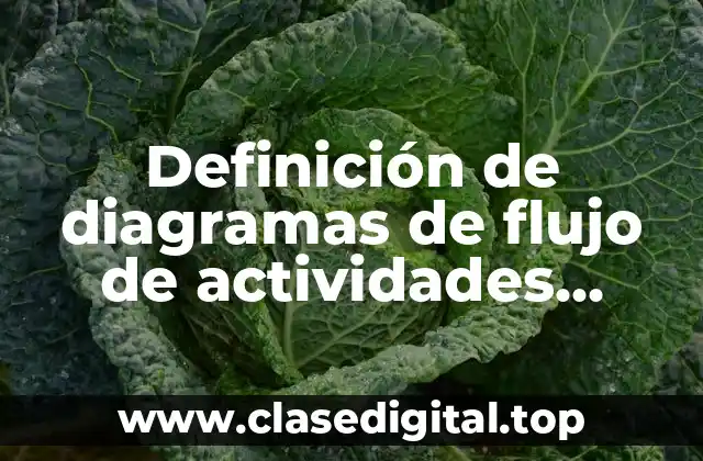 Definición de diagramas de flujo de actividades cotidianas