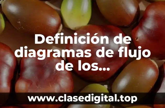 Ejemplos de diagramas de flujo de los requerimientos