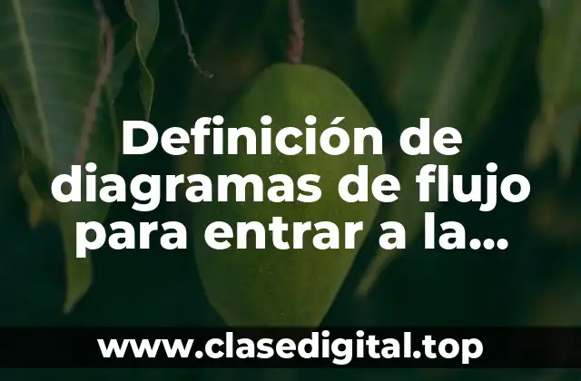 Definición de diagramas de flujo para entrar a la universidad