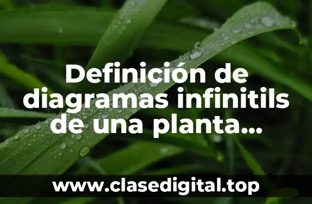 Definición de diagramas infinitils de una planta industrial