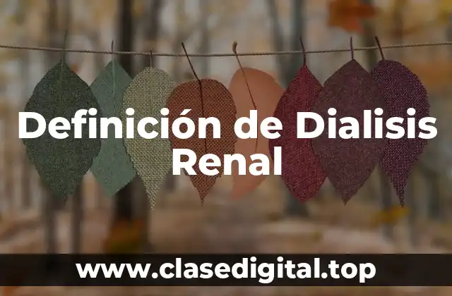 Definición de Dialisis Renal