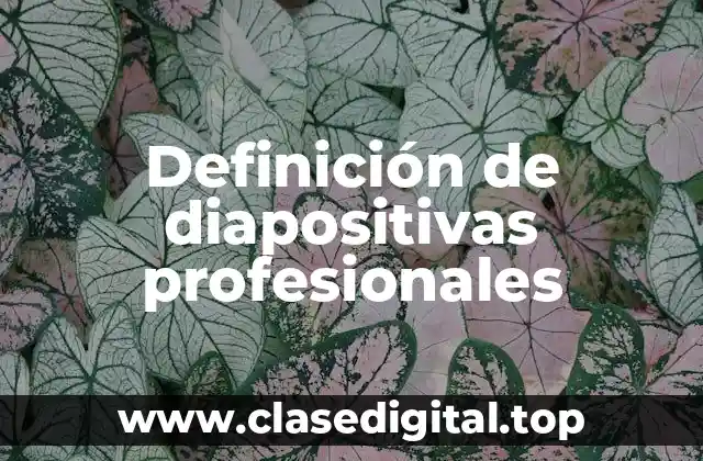 Definición de diapositivas profesionales
